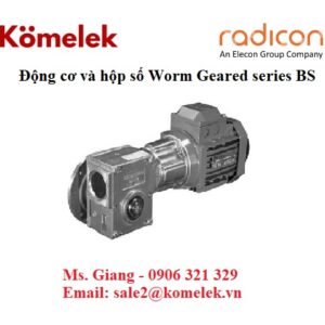 Động cơ và hộp số Worm Geared series BS, đại lý Radicon