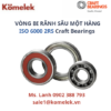 VÒNG BI RÃNH SÂU MỘT HÀNG ISO 6000 2RS Craft Bearings