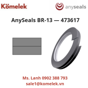 AnySeals BR-13 — 473617
