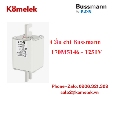 Cầu chì Bussmann 170M5146